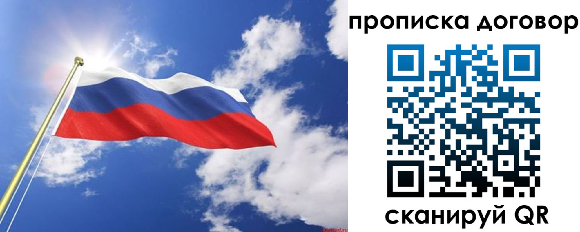 прописка гарантия в Сясьстрое